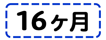 16ヶ月